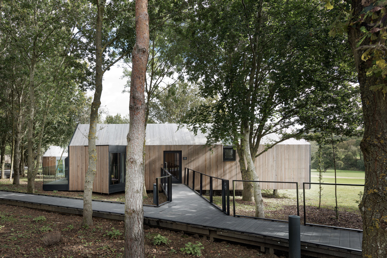 lodges view through the copse